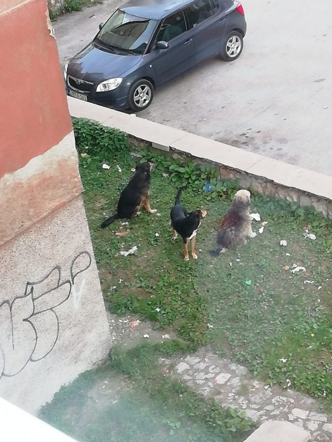 0244D5E7-CC9A-4B91-9732-E132362B0968 (1)