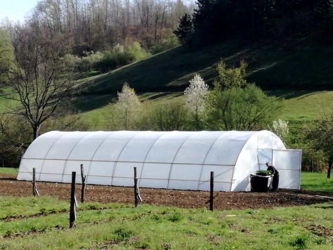 IMG_20170412_093051_resized_20180115_022155617-1536x1152