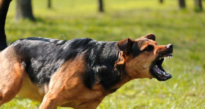 ced2fe3af88c1907fd48704bfb5f496c_view_article_new