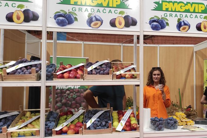 20220824164315_732519