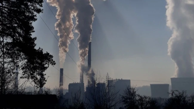 D91DBADD-0686-4D37-BC67-BFCED53AA18B_cx0_cy122_cw0_w650_r1