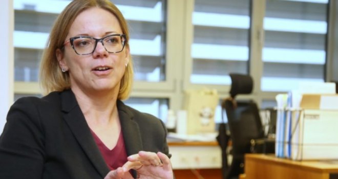 63a02b8a-7438-4fc5-8bfa-4ead0a0a0a78-sanja-ajanovic-hovnik-preview