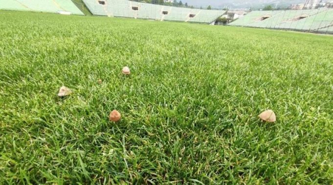 daba70d5f6b546ab04402dd87ad0c7bc