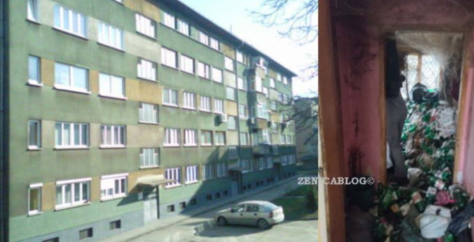 Screenshot-2023-11-09-121716-696x356