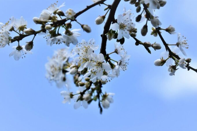 20240315220843_823309