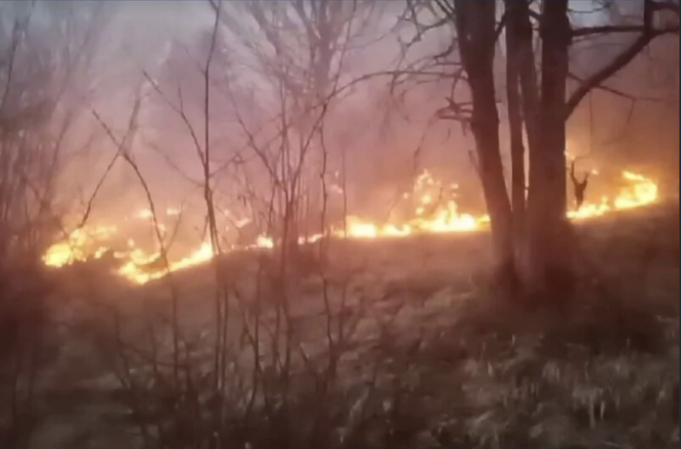 Screenshot-2024-03-30-at-21.47.07-696x459 (1)