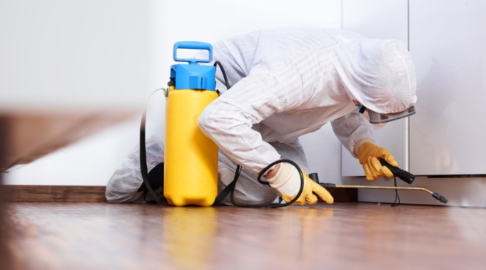 deratizacija-800x445-1