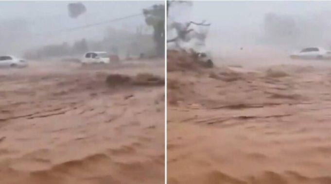 mel3_2025-10-28-214934_vlgt