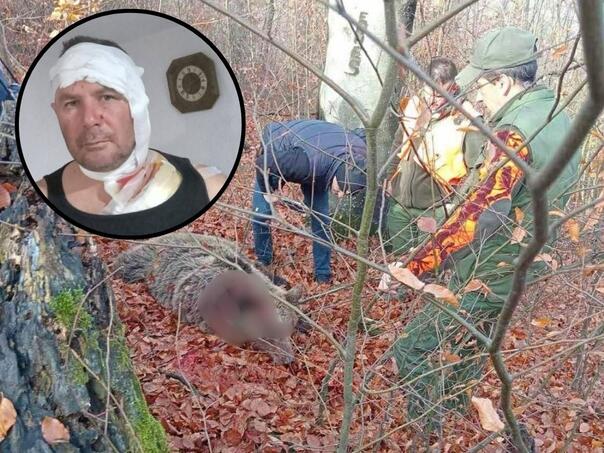 medvjed-napao-lovca-on-ga-ustrijelio-u-samoodbrani-medo-kladanj_6910ef3d2d661