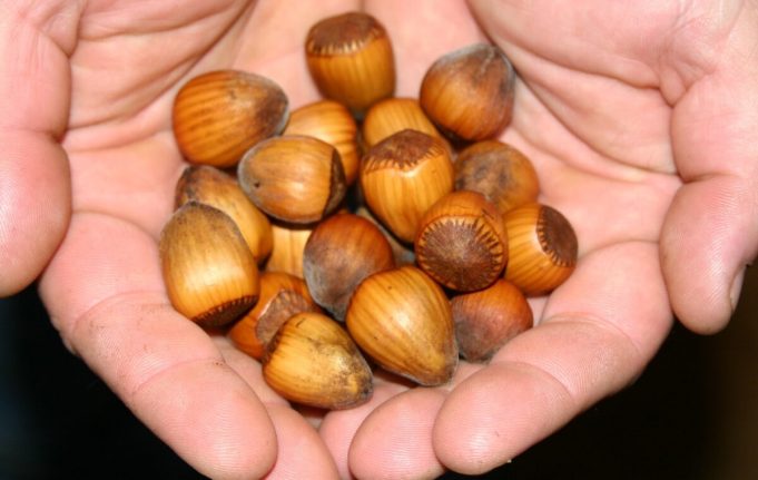 ljesnak-ljesnak-1200x760