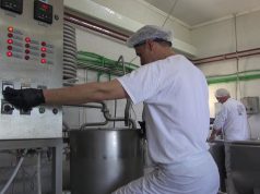 Mljekarima u Republici Srpskoj umanjena premija, nezadovoljni su i traže pomoć