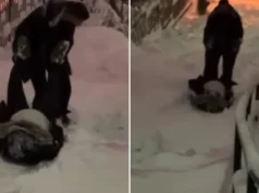 Par iz Sarajeva nasmijao region: Kako spustiti trudnicu niz neočišćenu ulicu?