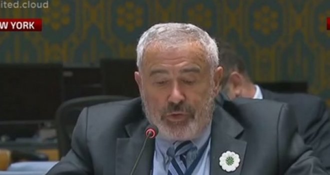 60c05e55-e128-4bd1-9488-7edd0a0a0a78-sven-alkalaj-preview