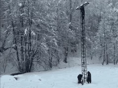 Snježni kolaps u Krajini ostavio 50.000 građana bez struje, pucali i stubovi mreže