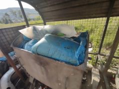 Neki ljudi animalni otpad od kurbana bacaju u komunalni otpad. KJKP Rad: Ovakav ibadet gubi svoju pravu poruku