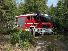 Pale korov, pa prave haos: Vatrogasci digli alarm