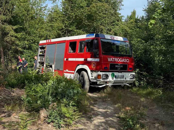 pale-korov-pa-prave-haos-vatrogasci-digli-alarm-viber-image-2026-05-28-07-57-19-490_6a17dc98d71ce